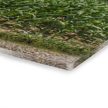 U R There Photography Millington Road Reds Rustic Farmhouse Acrylic Wall Print