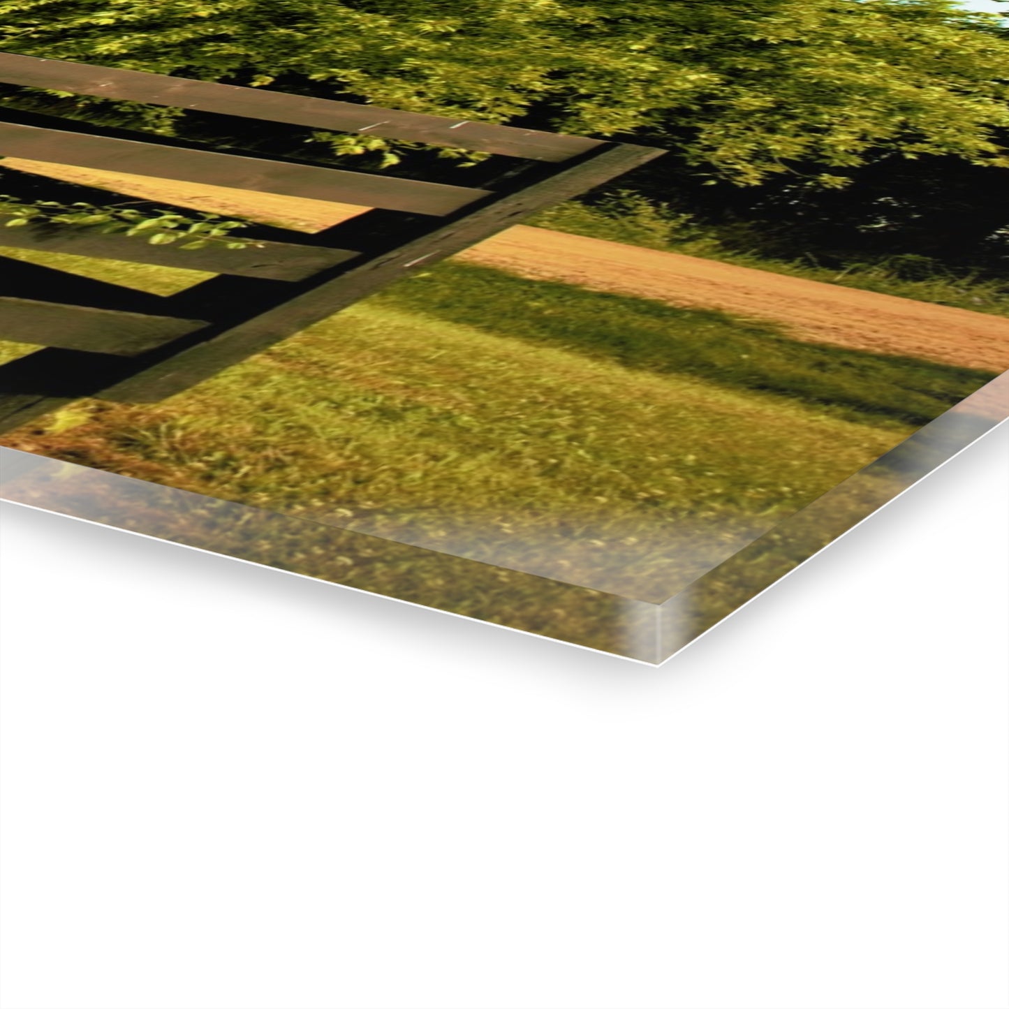 U R There Photography Country Fence and Tree in Metamora Rustic Farmhouse Acrylic Wall Print