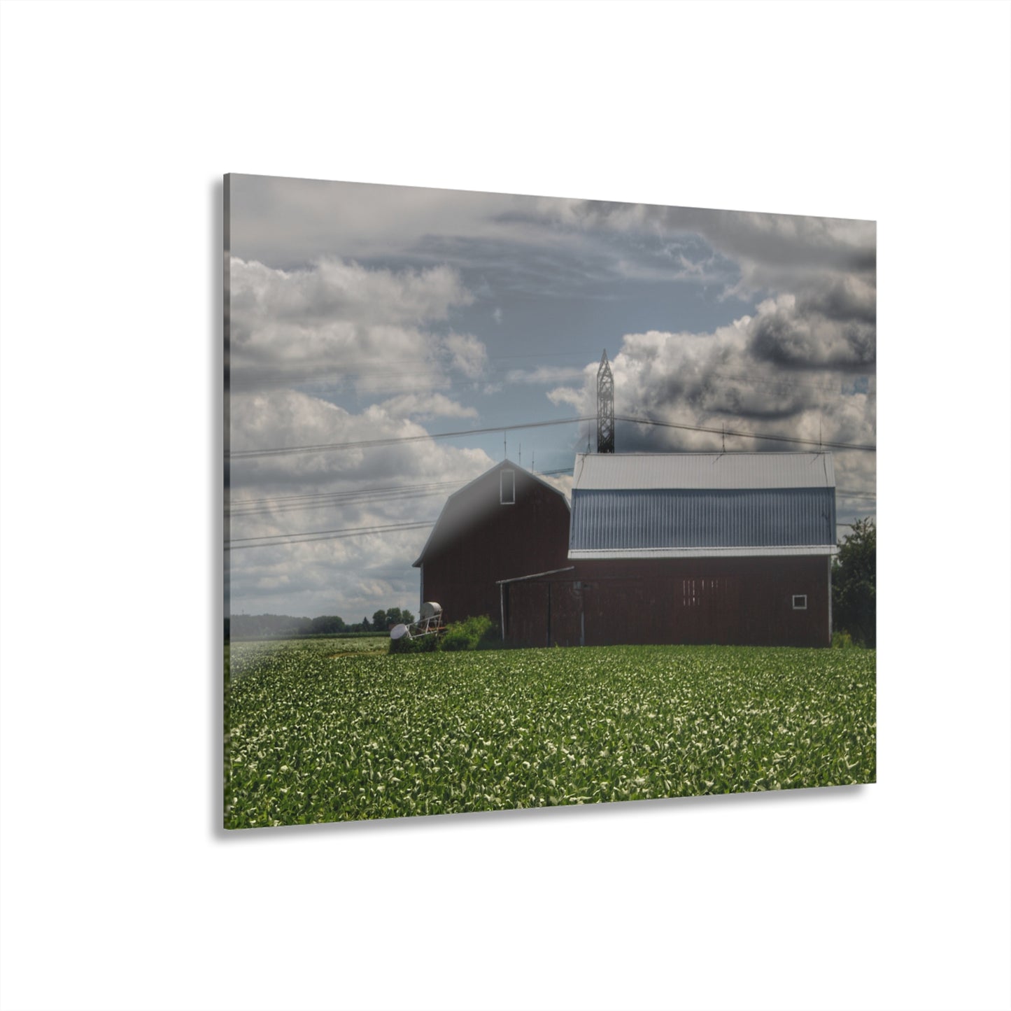 U R There Photography South Reese Road Reds Rustic Farmhouse Acrylic Wall Print