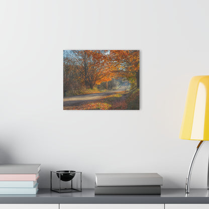 U R There Photography Fall on Oak Road Rustic Farmhouse Acrylic Wall Print