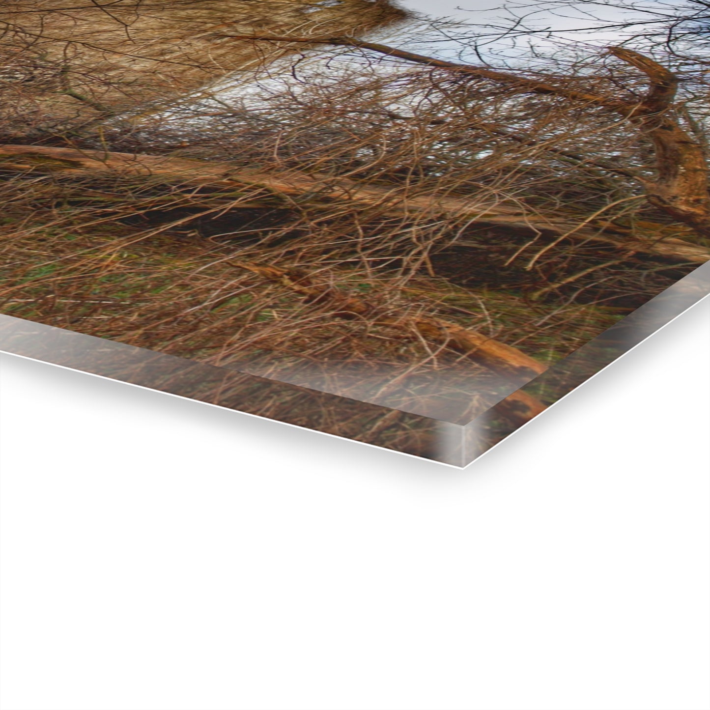 U R There Photography Hidden Silo of Fostoria Rustic Farmhouse Acrylic Wall Print