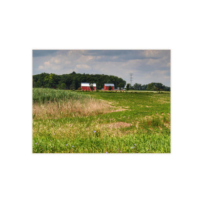U R There Photography Across the Field in Elba II Rustic Farmhouse Decorative Ceramic Tile