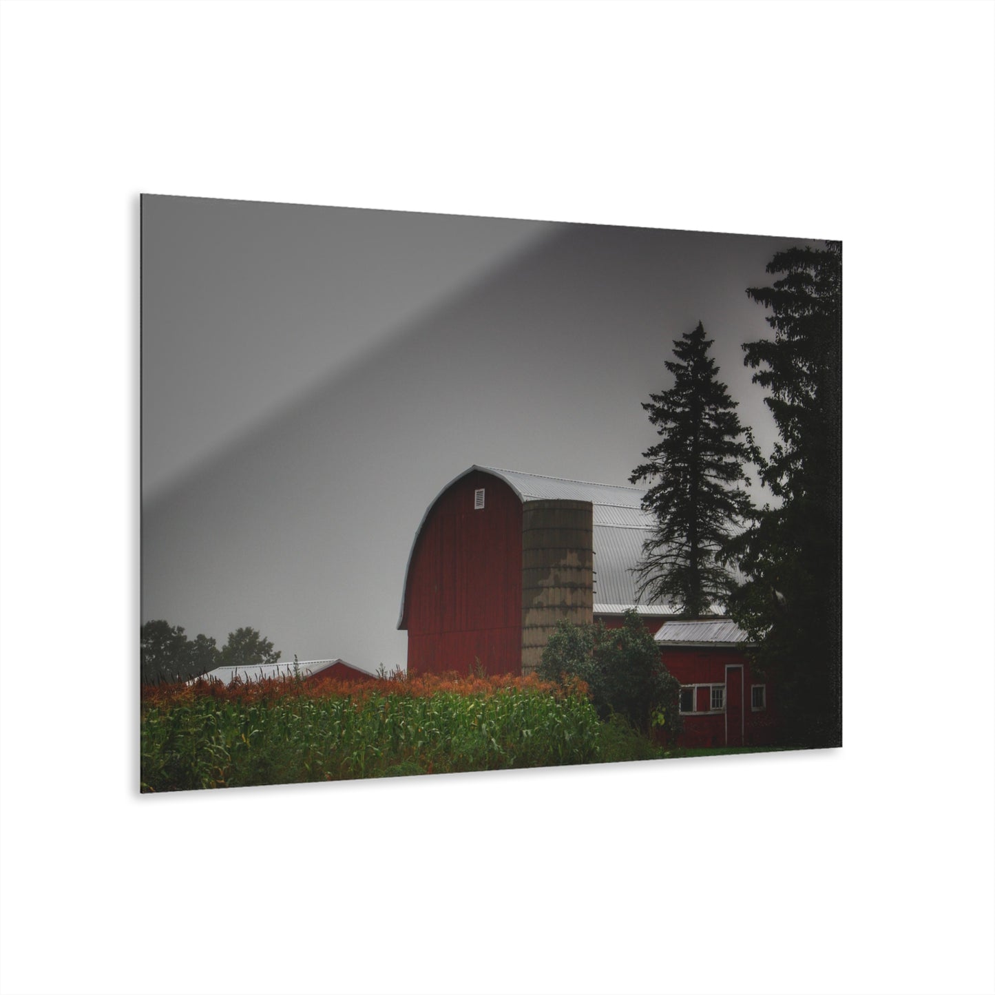U R There Photography Beyond the Fog on Haines Rustic Farmhouse Acrylic Wall Print