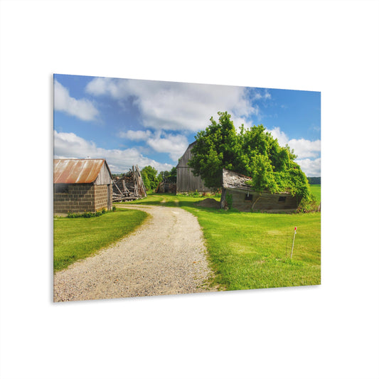 U R There Photography Brown City Road Barn and Buddy II Rustic Farmhouse Acrylic Wall Print
