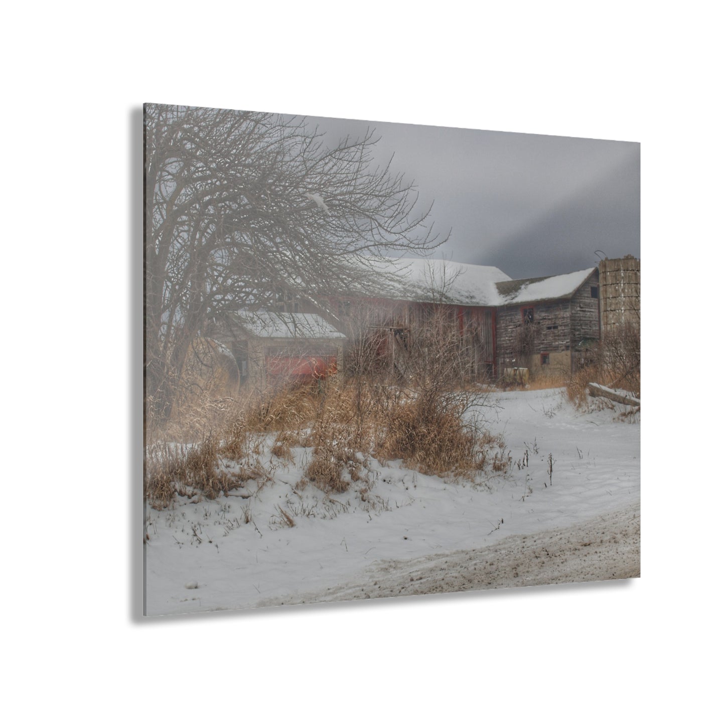 U R There Photography Midwinter Red Rustic Farmhouse Acrylic Wall Print