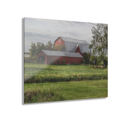 U R There Photography West Dodge Road Reds Rustic Farmhouse Acrylic Wall Print