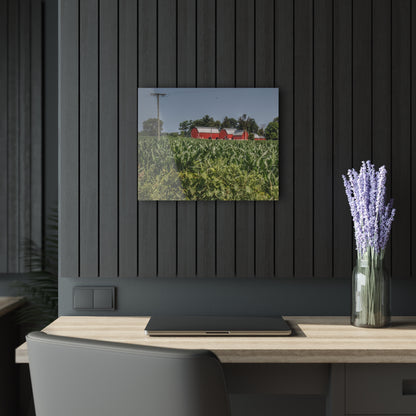 U R There Photography Shoemaker Road Reds Beyond the Corn Rustic Farmhouse Acrylic Wall Print