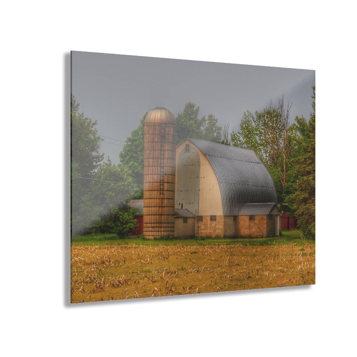 U R There Photography Carpenter Road White II Rustic Farmhouse Acrylic Wall Print