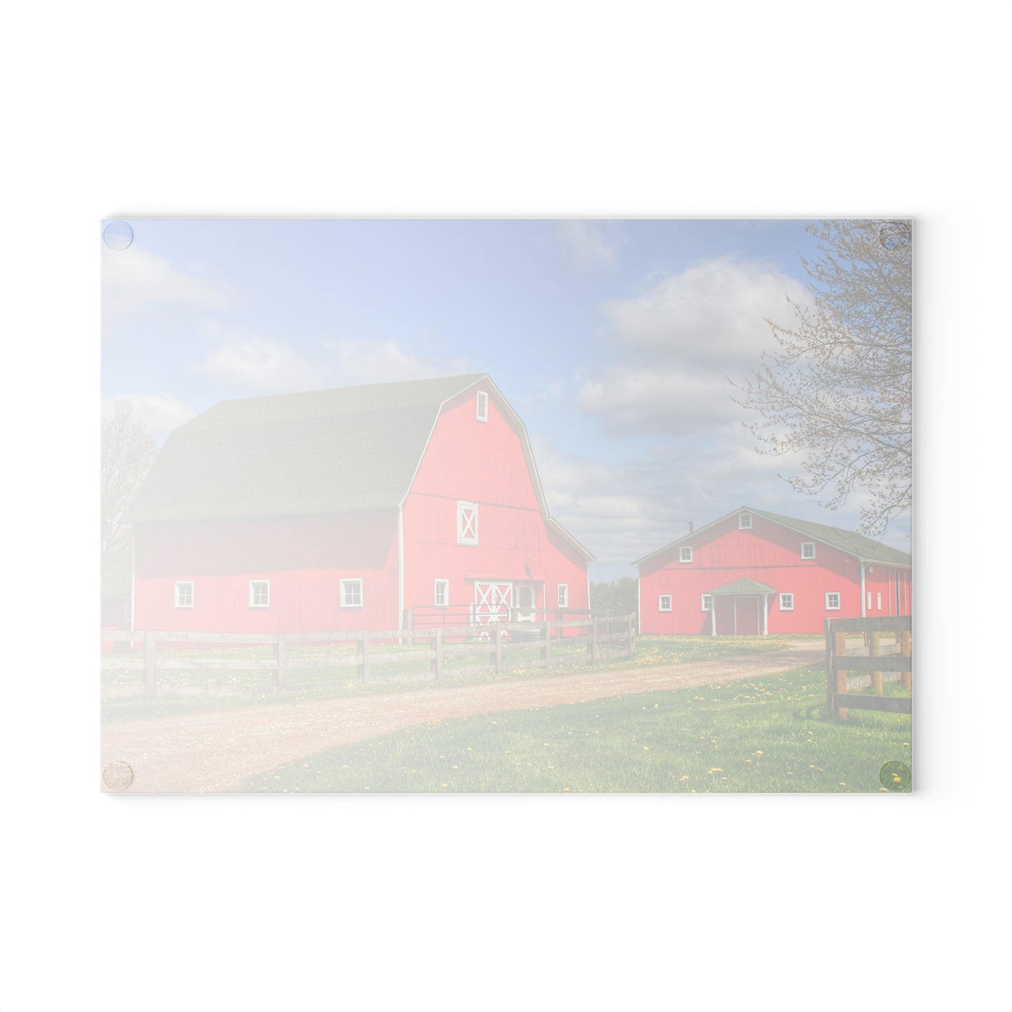 U R There Photography Sohn Road Reds Rustic Farmhouse Tempered-Glass Cutting Board
