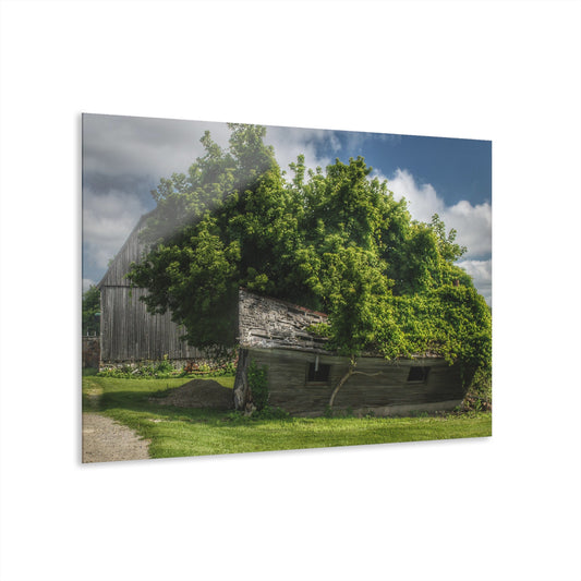 U R There Photography Brown City Road Barn and Buddy I Rustic Farmhouse Acrylic Wall Print