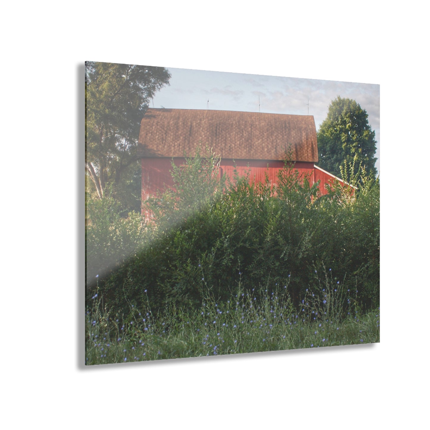 U R There Photography Genesee Road Red I Rustic Farmhouse Acrylic Wall Print
