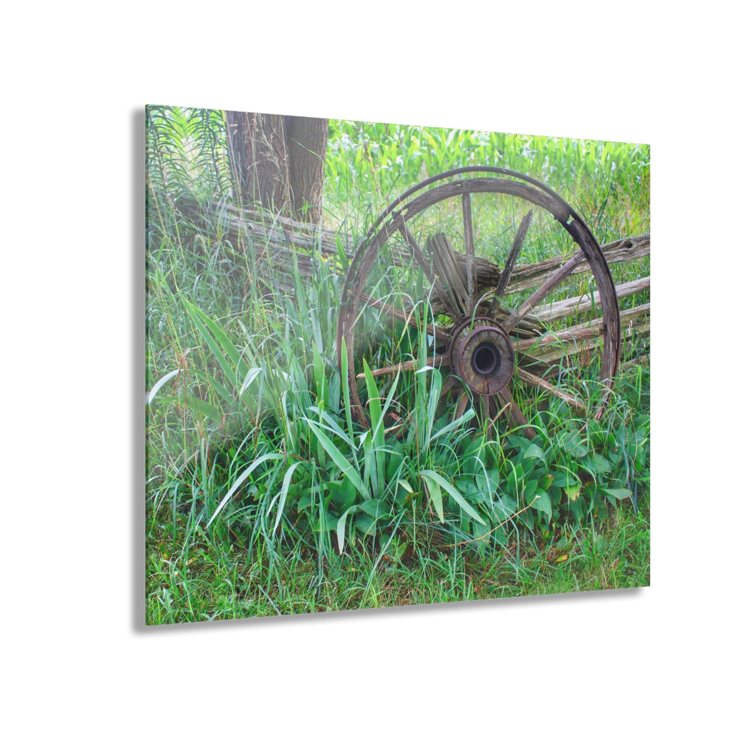 U R There Photography Wagon Wheel Fences Rustic Farmhouse Acrylic Wall Print
