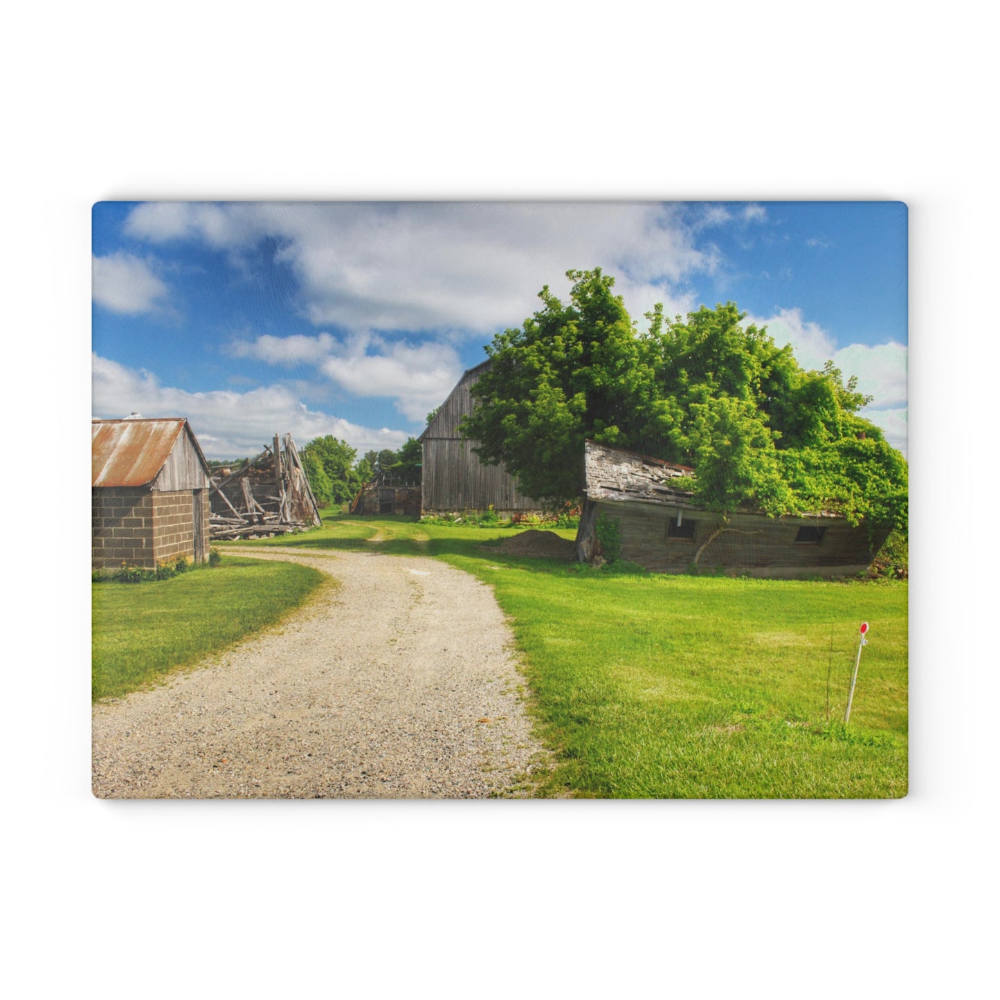 U R There Photography Brown City Road Barn and Buddy II Rustic Farmhouse Tempered-Glass Cutting Board
