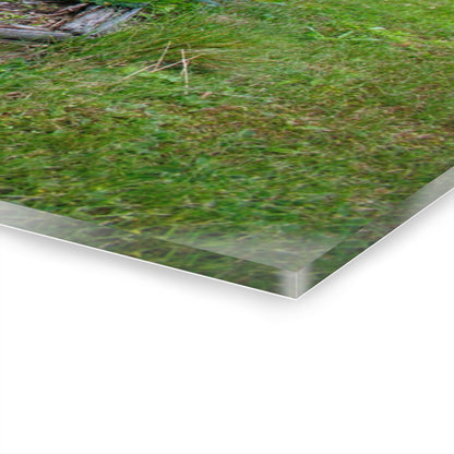 U R There Photography Farm Yard Art Rustic Farmhouse Acrylic Wall Print