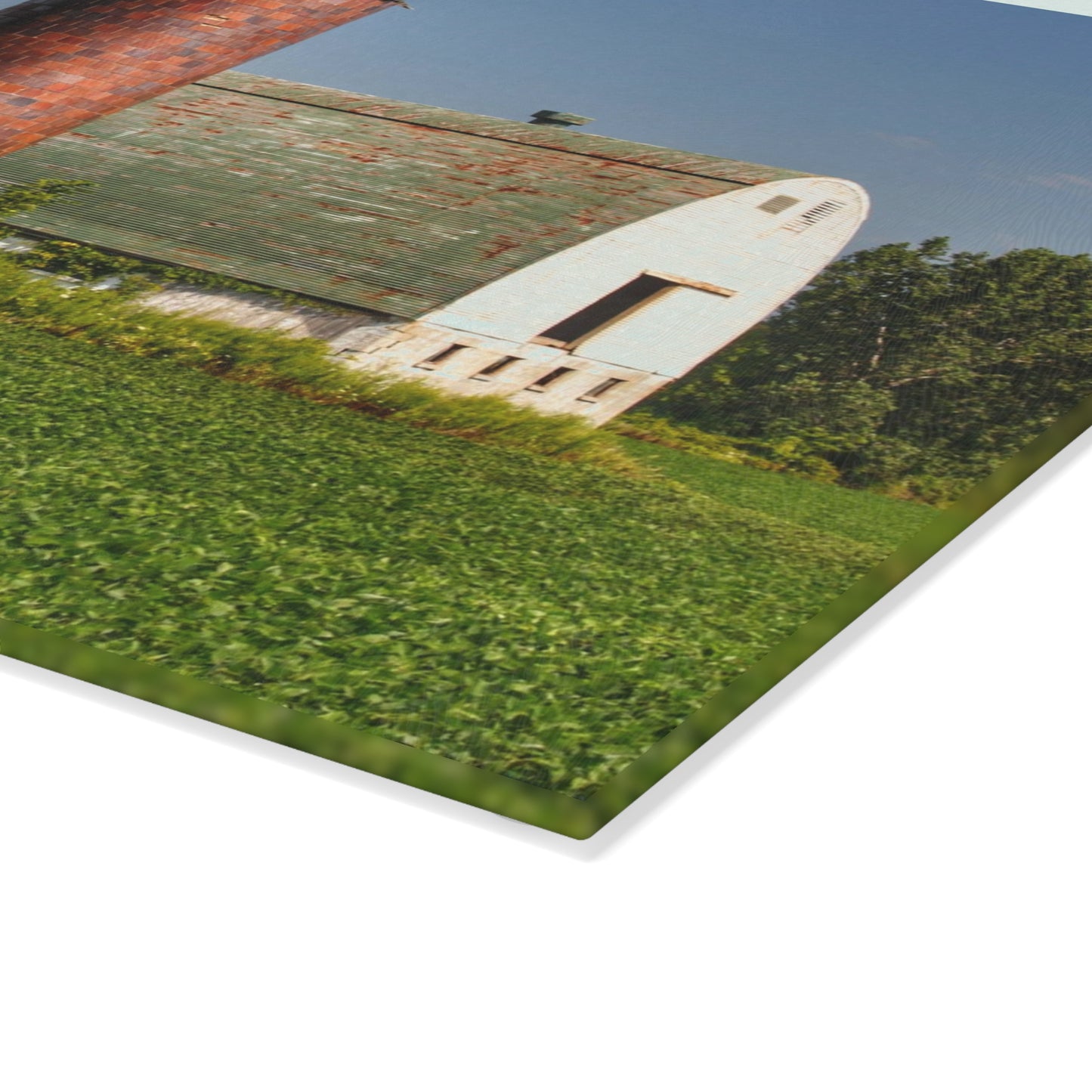 U R There Photography Elba White and Silo Rustic Farmhouse Tempered-Glass Cutting Board