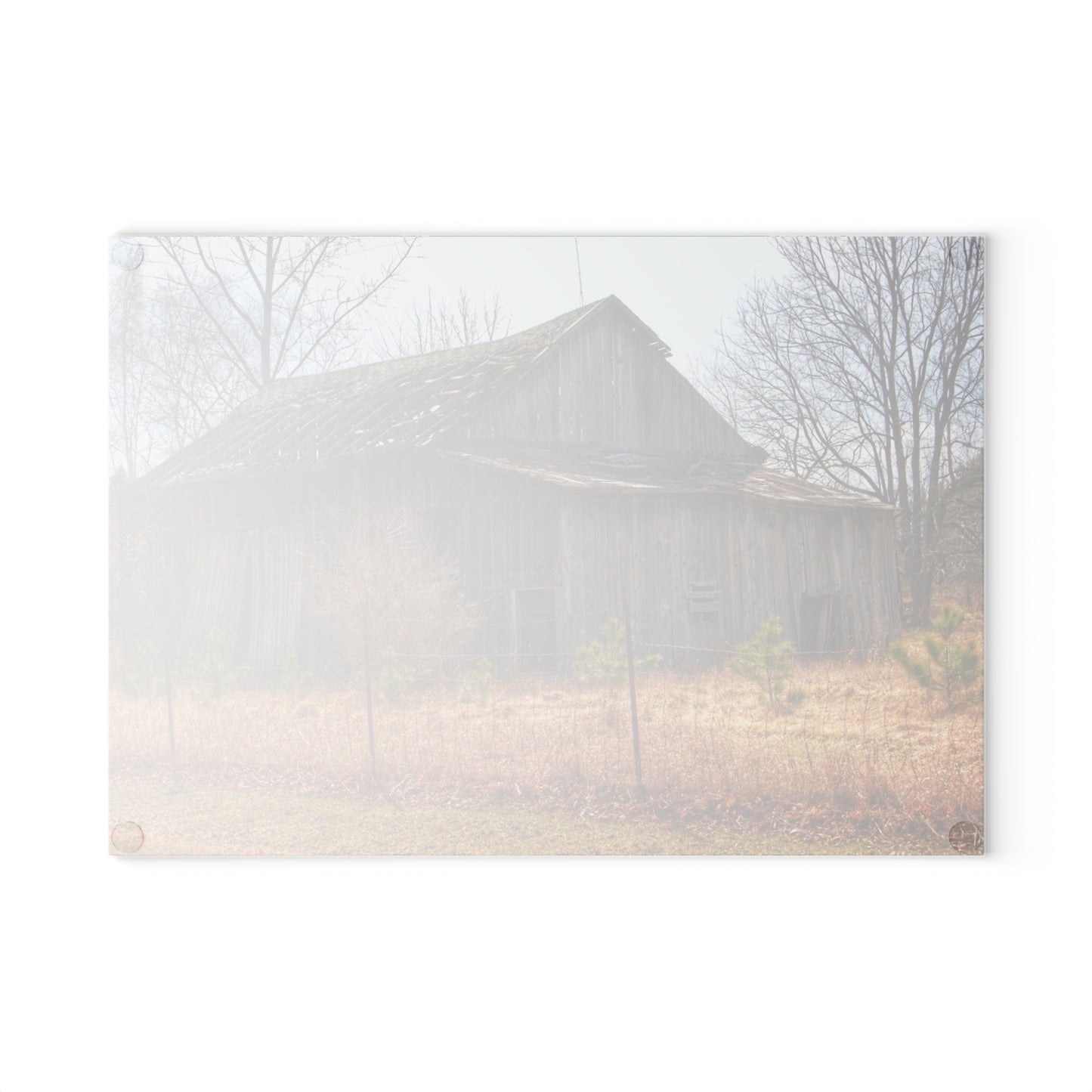 U R There Photography Leix Road Forgotten Grey I Rustic Farmhouse Tempered-Glass Cutting Board