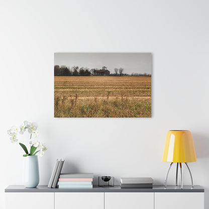 U R There Photography Freiberger Road Grey Across the Field Rustic Farmhouse Acrylic Wall Print