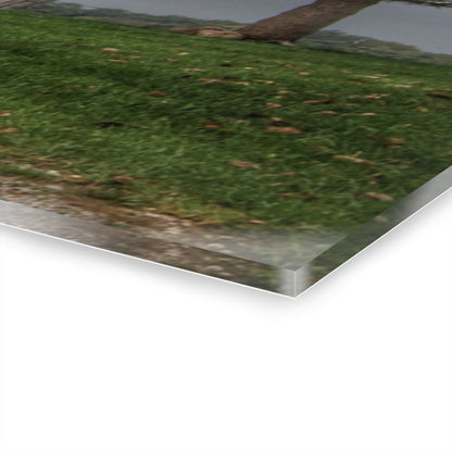 U R There Photography North Lake Road Grey Rustic Farmhouse Acrylic Wall Print