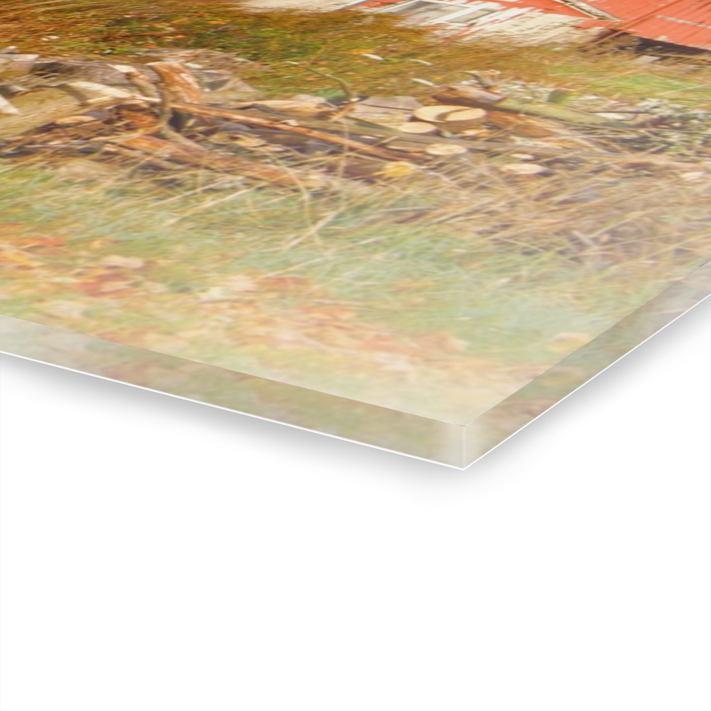 U R There Photography Greenwood Road Red in the Fall Rustic Farmhouse Acrylic Wall Print