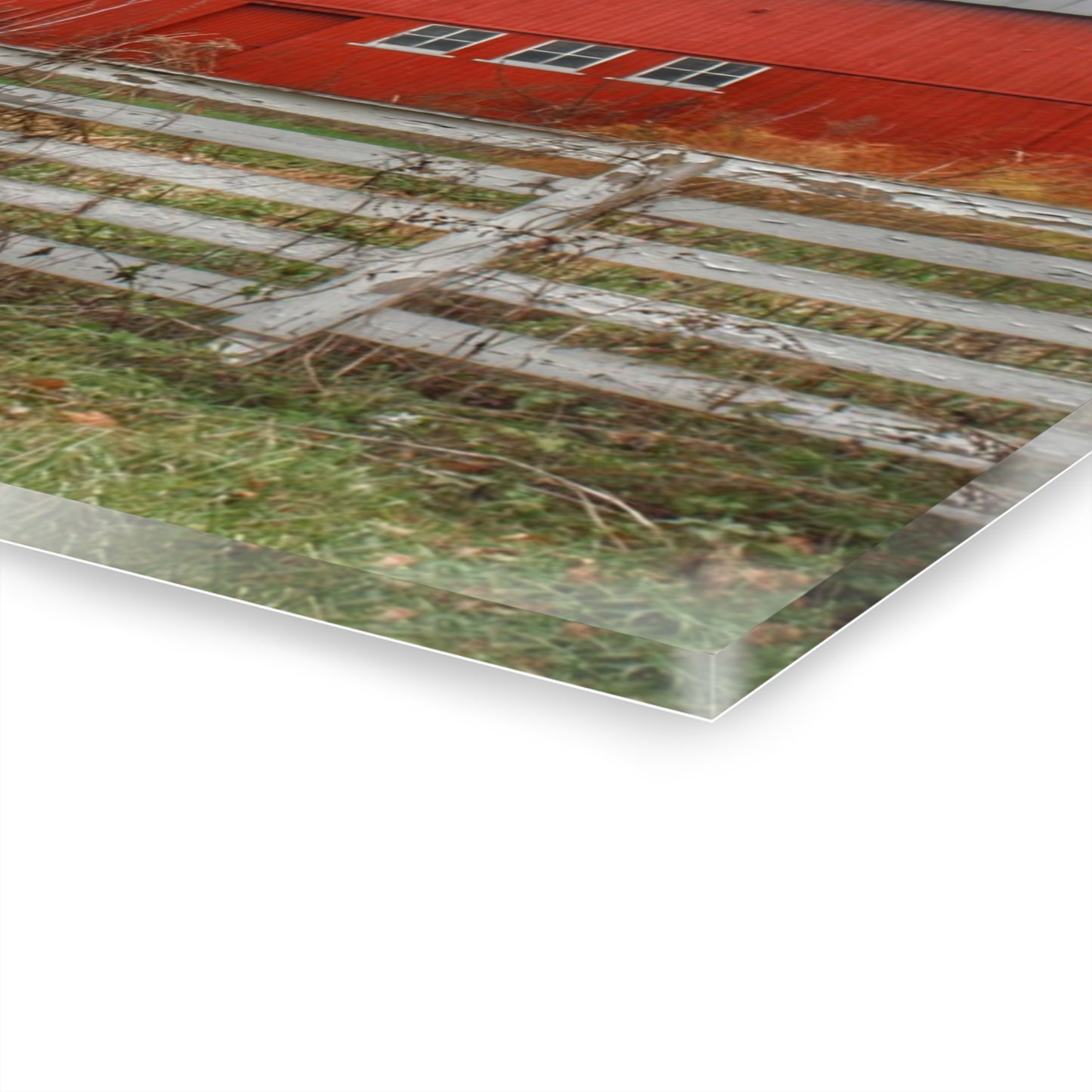 U R There Photography Corralled Red Rustic Farmhouse Acrylic Wall Print