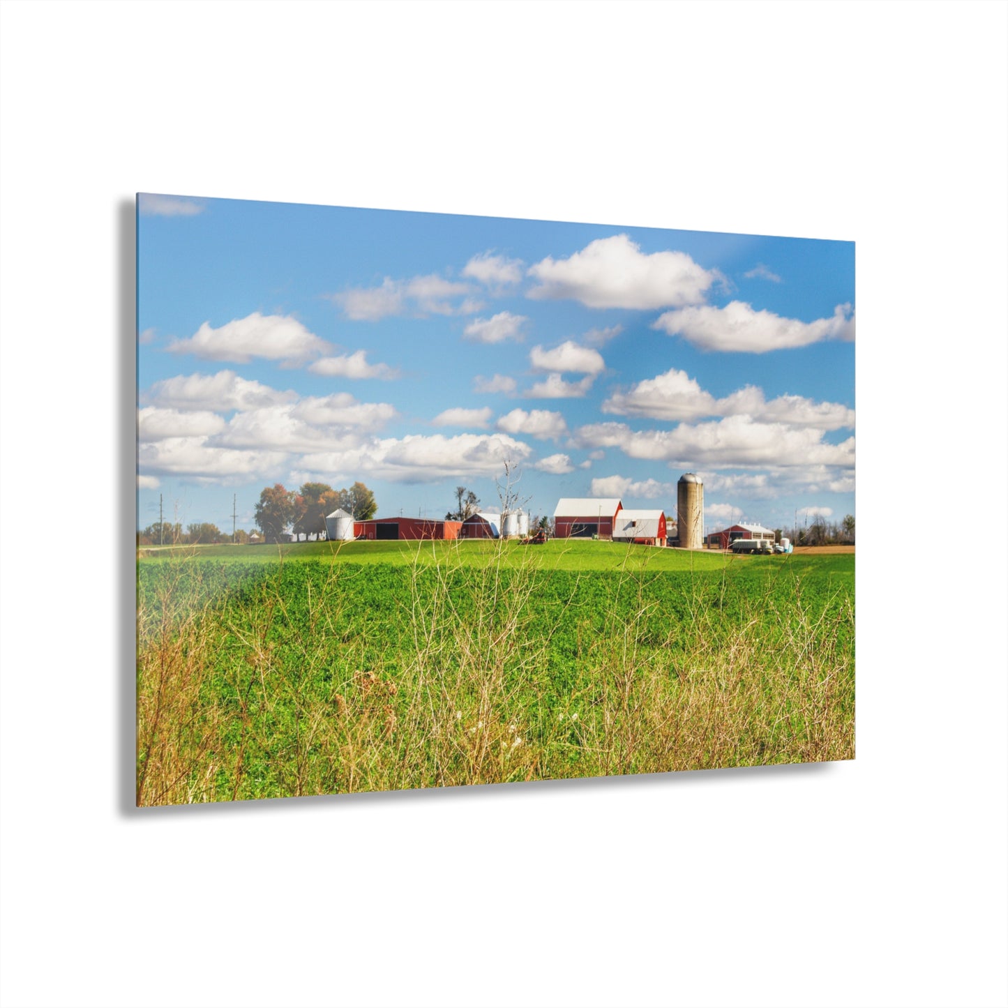 U R There Photography Pattison Road Farm Across the Field II Rustic Farmhouse Acrylic Wall Print