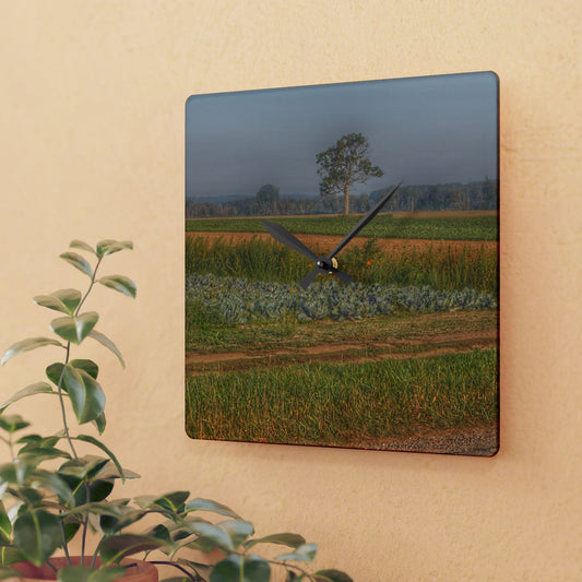U R There Photography Cabbage and Pumpkin Patch Rustic Farmhouse Acrylic Analog Wall Clock