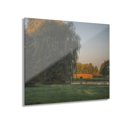 U R There Photography Sunrise on Willow Pond II Rustic Farmhouse Acrylic Wall Print
