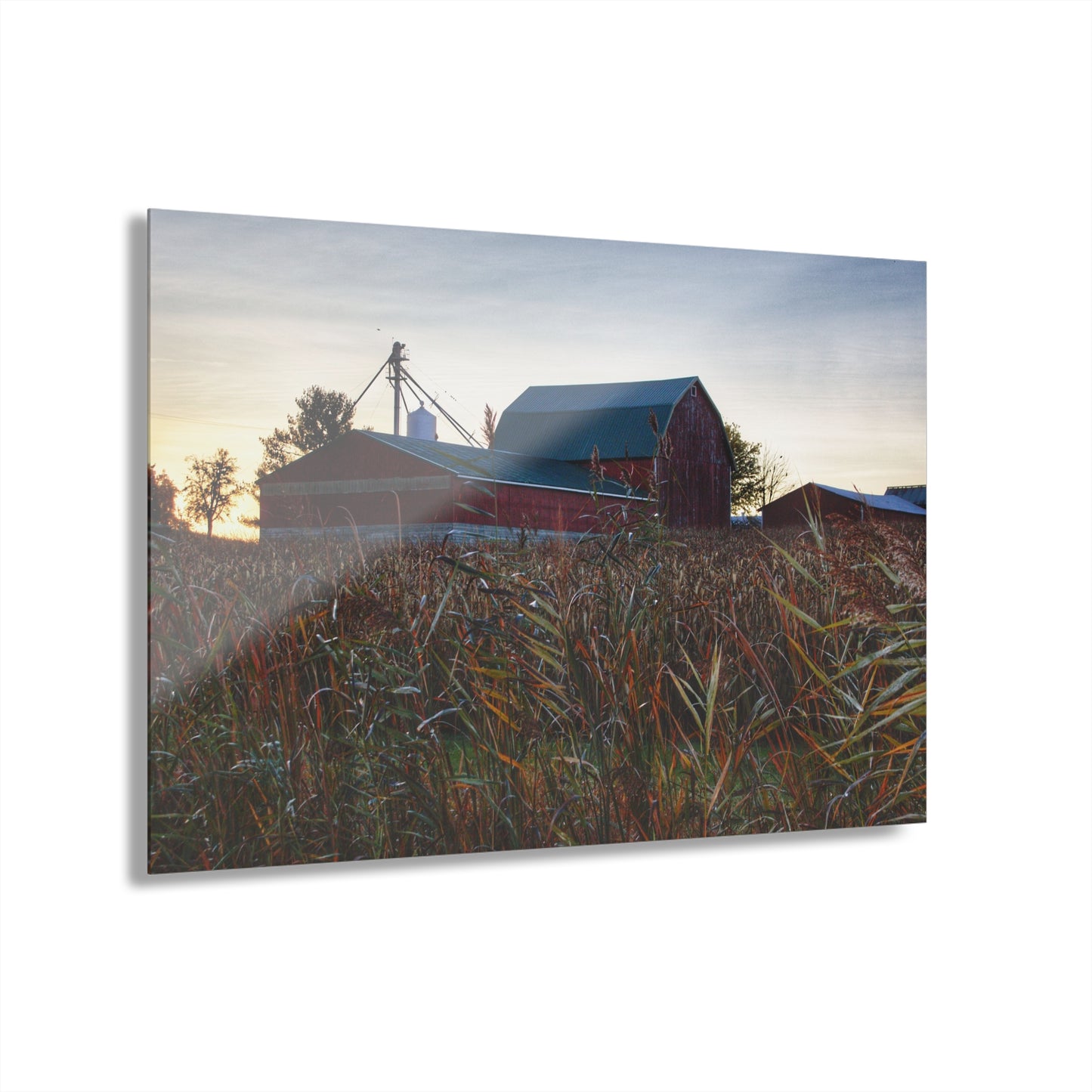 U R There Photography Haines Road Hidden Reds Rustic Farmhouse Acrylic Wall Print