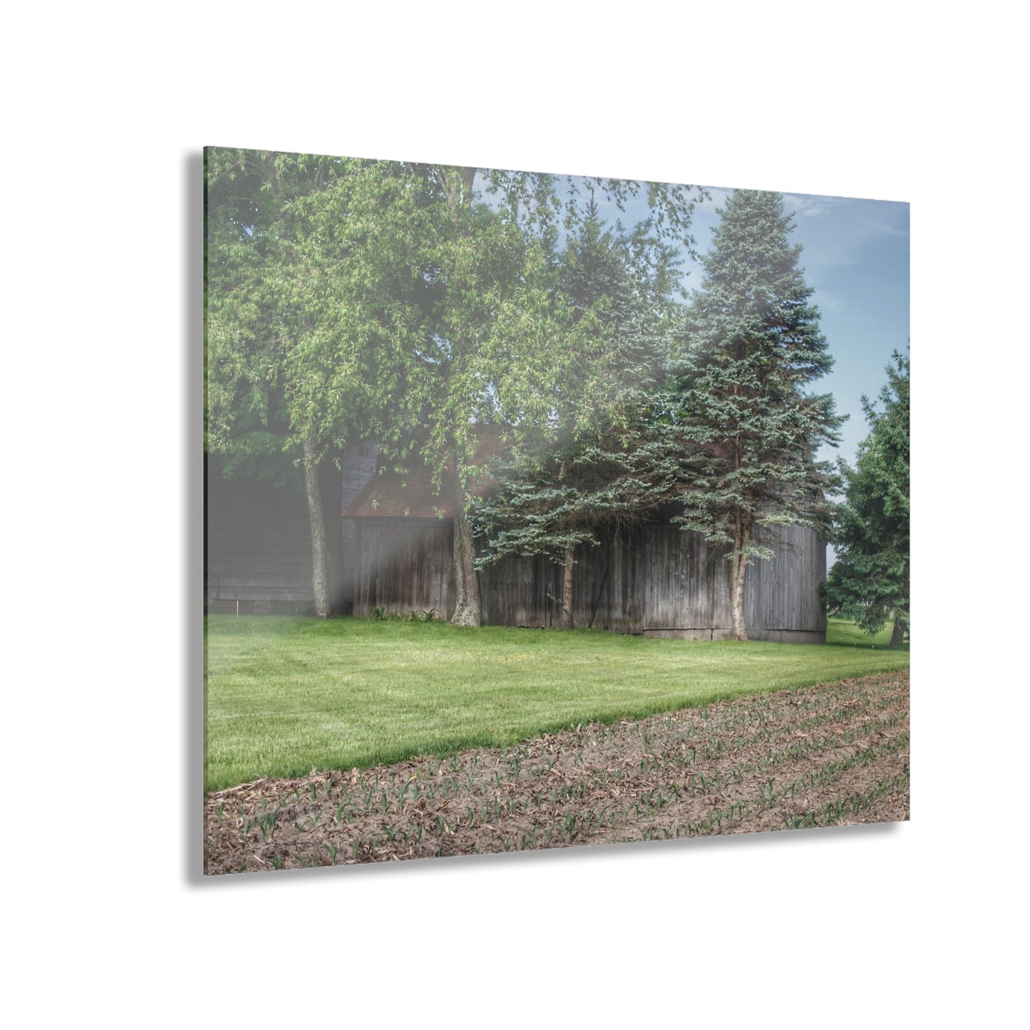 U R There Photography Barkley Road Greys II Rustic Farmhouse Acrylic Wall Print