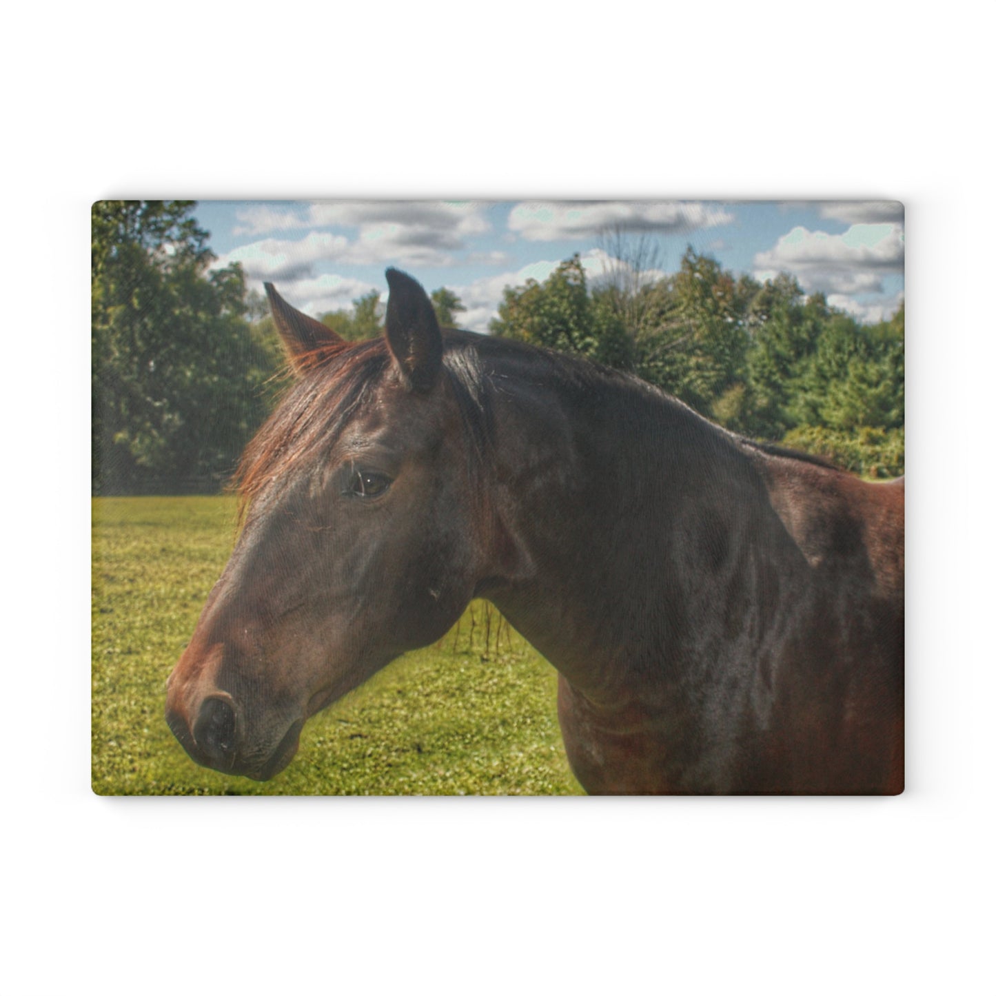 U R There Photography Brown Beauty I Rustic Farmhouse Tempered-Glass Cutting Board