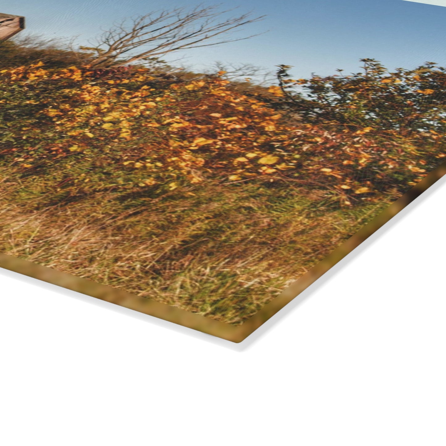 U R There Photography Clothier Road Red I Rustic Farmhouse Tempered-Glass Cutting Board