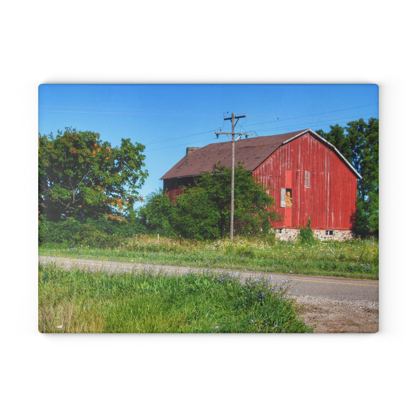 U R There Photography Armstrong Road Red II Rustic Farmhouse Tempered-Glass Cutting Board