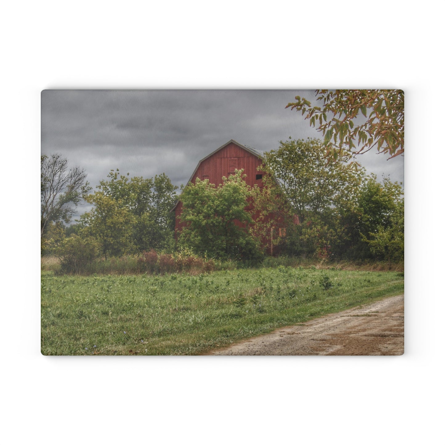 U R There Photography Bristol Road Hidden Red Rustic Farmhouse Tempered-Glass Cutting Board