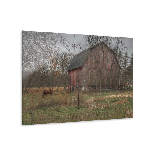 U R There Photography Blair Road Barn and Horse Rustic Farmhouse Acrylic Wall Print