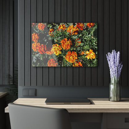 U R There Photography Marigolds Rustic Farmhouse Acrylic Wall Print