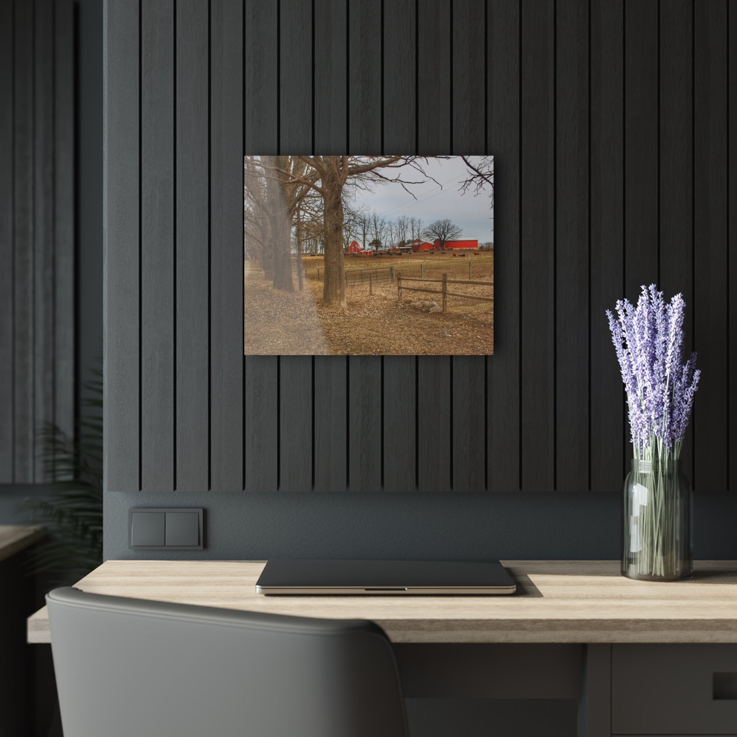 U R There Photography Wilder Road Cow Farm Rustic Farmhouse Acrylic Wall Print