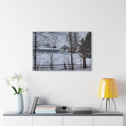 U R There Photography Oakwood Hidden White Rustic Farmhouse Acrylic Wall Print