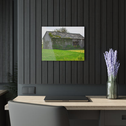 U R There Photography Caro Road Twin Grey II Rustic Farmhouse Acrylic Wall Print