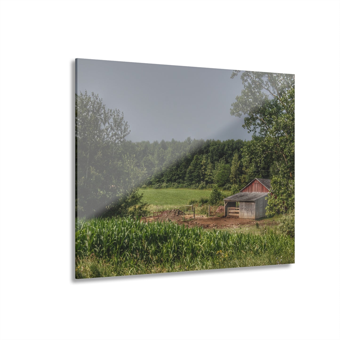 U R There Photography West Oregon Road Hidden Red I Rustic Farmhouse Acrylic Wall Print