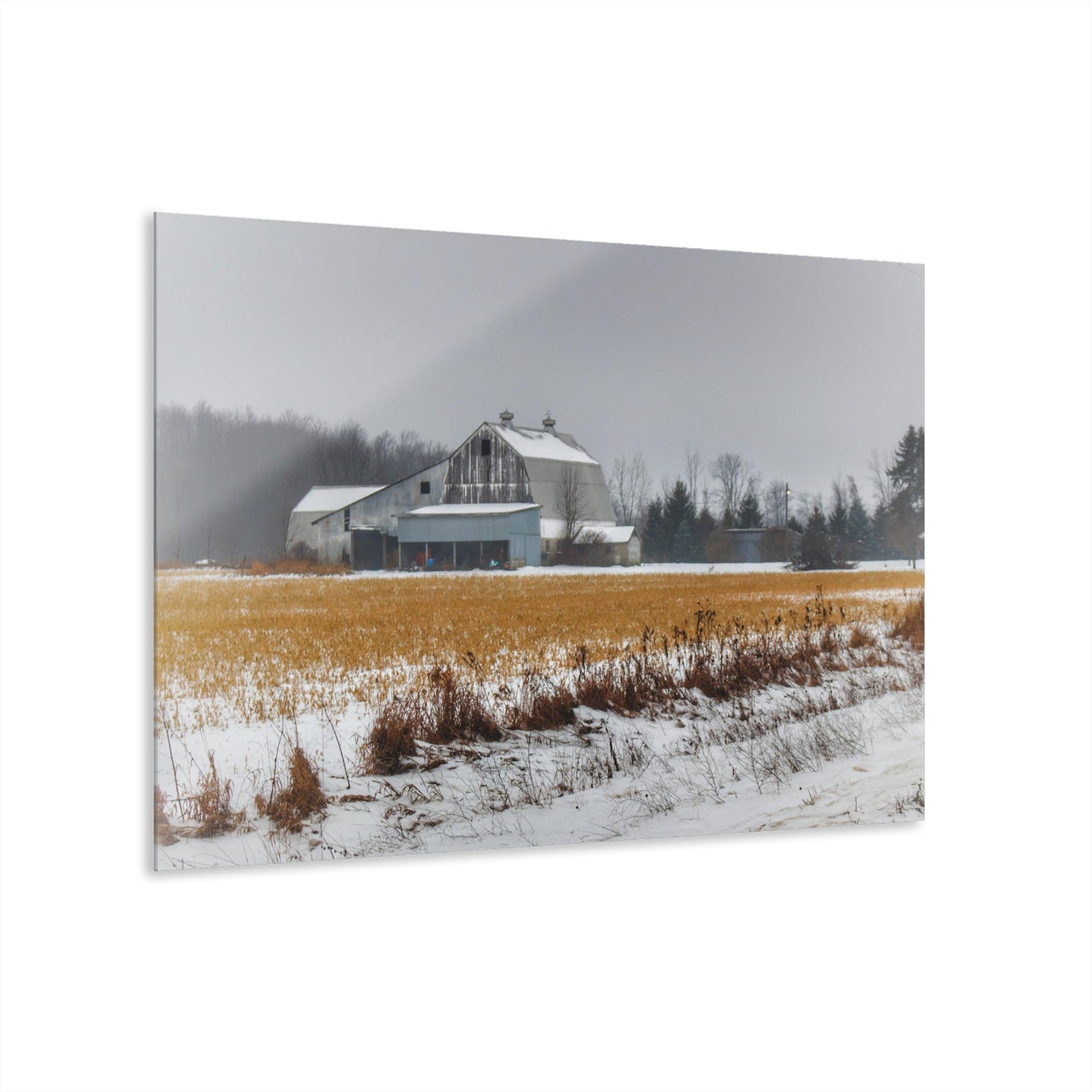 U R There Photography Argyle Road Grey Rustic Farmhouse Acrylic Wall Print