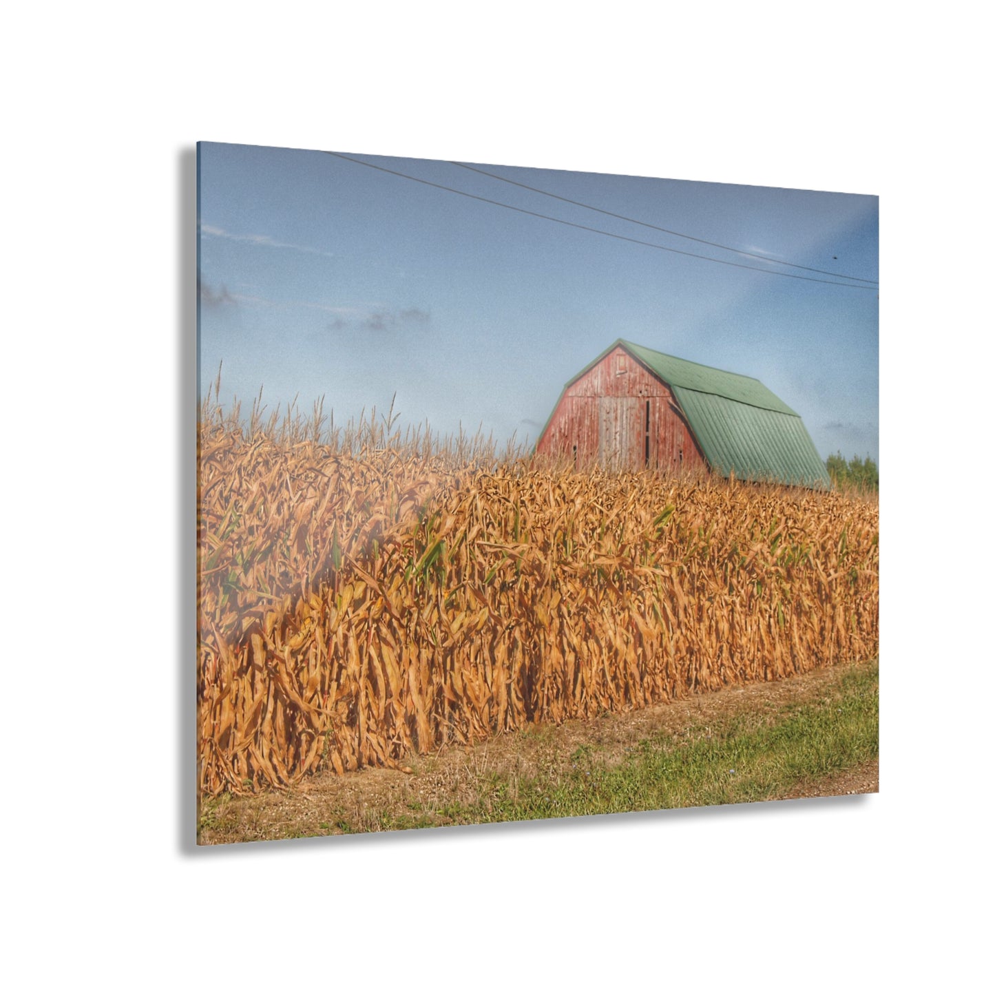 U R There Photography Beyond the Harvest Corn I Rustic Farmhouse Acrylic Wall Print