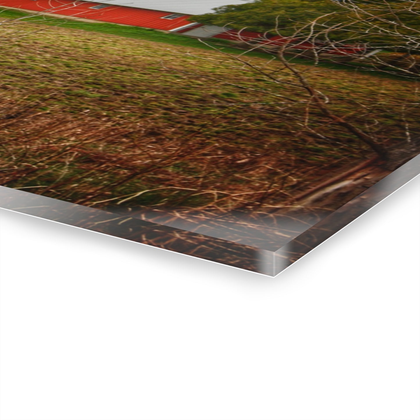 U R There Photography Fostoria Road Greys Rustic Farmhouse Acrylic Wall Print