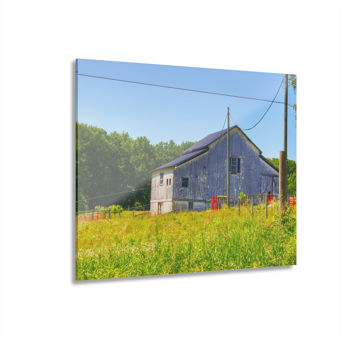 U R There Photography Greenwood Road Whitewash Grey Rustic Farmhouse Acrylic Wall Print