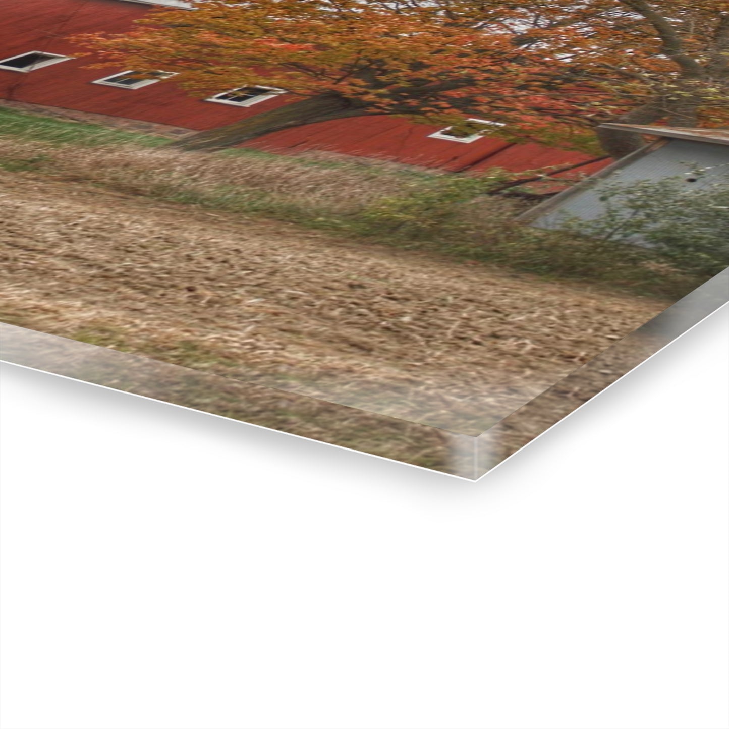 U R There Photography Brigham Road Red Rustic Farmhouse Acrylic Wall Print