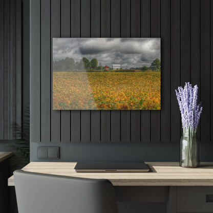 U R There Photography Golden Fields Farm Rustic Farmhouse Acrylic Wall Print