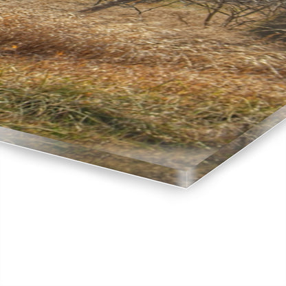 U R There Photography Speaker Road Hidden Grey Rustic Farmhouse Acrylic Wall Print
