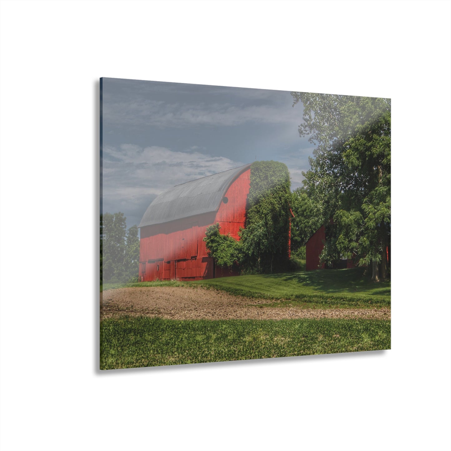 U R There Photography Catlin Road Red I Rustic Farmhouse Acrylic Wall Print