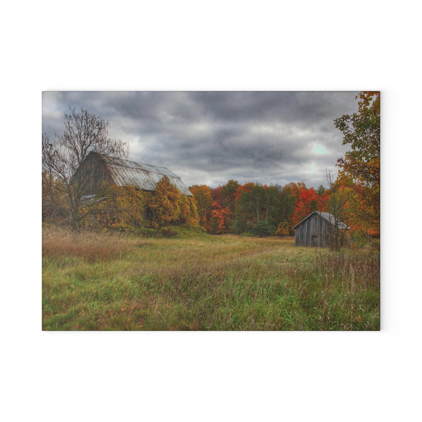 U R There Photography Church Road Grey and Little Grey Rustic Farmhouse Tempered-Glass Cutting Board