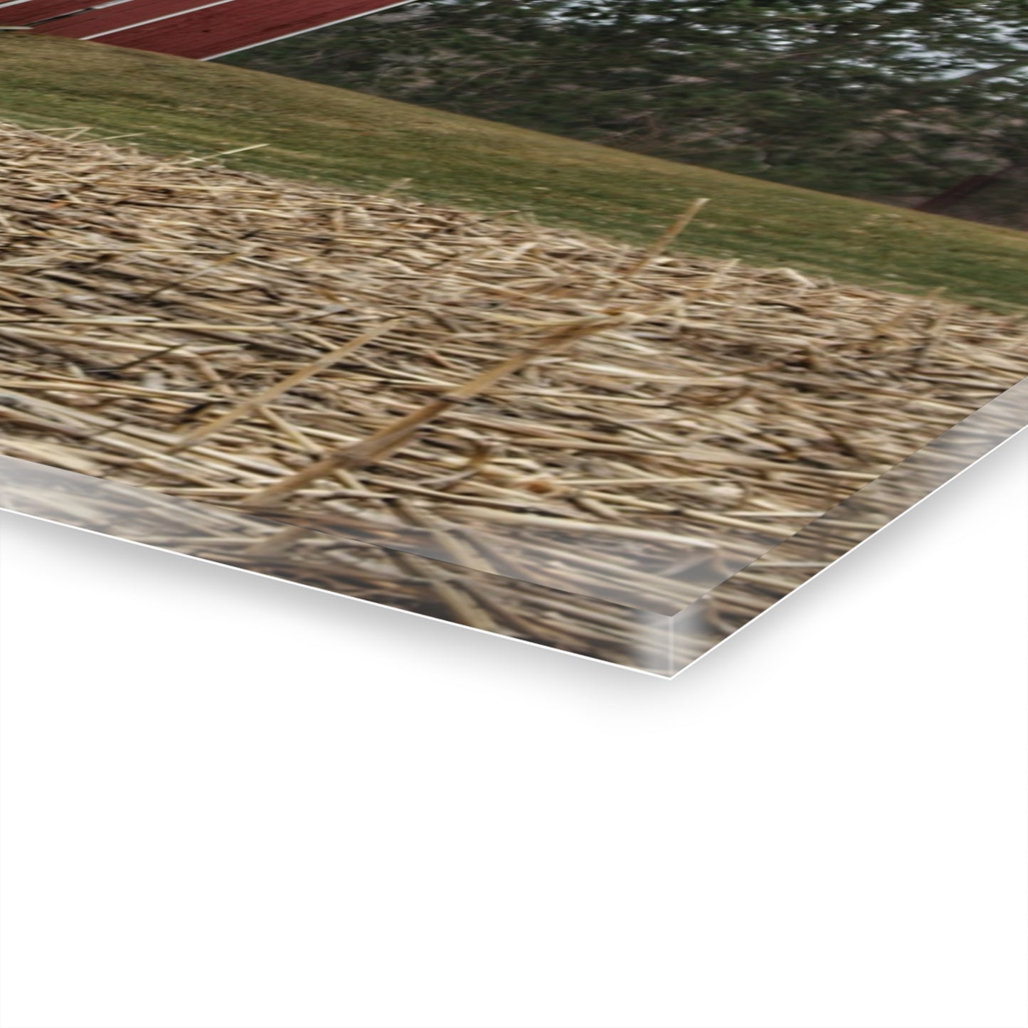 U R There Photography Fostoria Road Standing Man Red Rustic Farmhouse Acrylic Wall Print