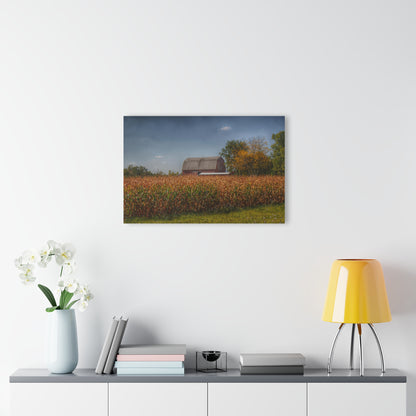 U R There Photography Clifford Road Red III Rustic Farmhouse Acrylic Wall Print